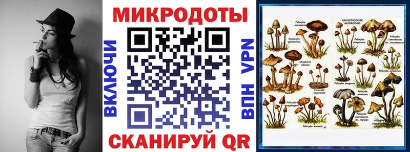 Псилоцибиновые грибы Cubensis  Купить закладки  Белорецк 